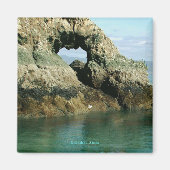 Aimant Gull Island, Alaska (Devant)