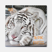 Aimant Gus - (Devant)