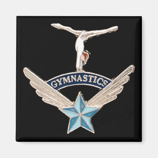 Aimant Gymnastique magnétique