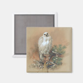 Aimant Gyrfalcon - 1861 (Recto/Verso)