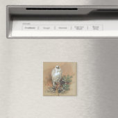 Aimant Gyrfalcon - 1861 (In Situ (Lave-vaisselle))