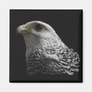 Aimant Gyrfalcon arctique