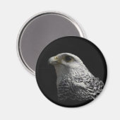 Aimant Gyrfalcon arctique (Recto/Verso)