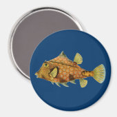 Aimant Haeckel Fish (Recto/Verso)