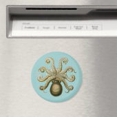 Aimant Haeckel Octopus (In Situ (Lave-vaisselle))