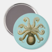 Aimant Haeckel Octopus (Recto/Verso)