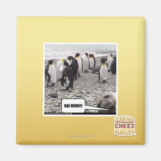 AIMANT HAI MOM ! ! ! (Devant)