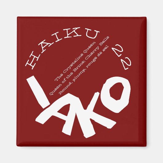 AIMANT HAIKU 22 (Devant)