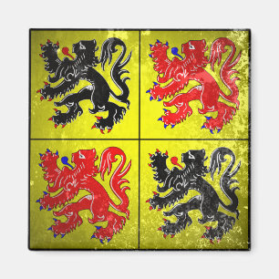 Aimant Hainaut