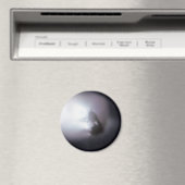 Aimant Halley's Comet (1P/Halley) (In Situ (Lave-vaisselle))