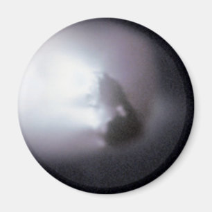Aimant Halley's Comet (1P/Halley)