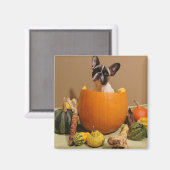 Aimant Halloween (Recto/Verso)