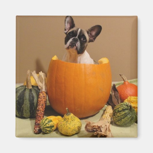 Aimant Halloween (Devant)