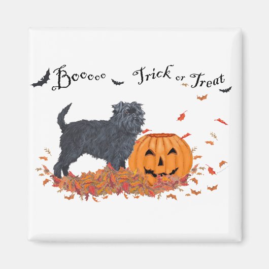 Aimant Halloween Affenpinscher (Devant)
