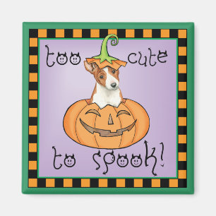 Aimant Halloween Basenji