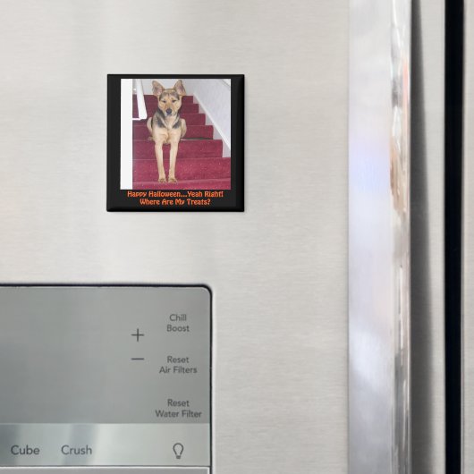 Aimant Halloween Berger Allemand Chien Pas de traitement (In situ (réfrigérateur))