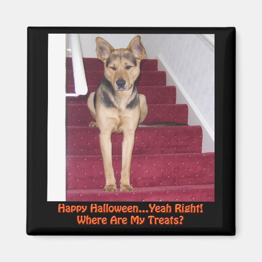 Aimant Halloween Berger Allemand Chien Pas de traitement (Devant)