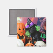 Aimant Halloween - Carlin - Daisy Mae (Recto/Verso)