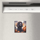 Aimant Halloween Cocker Spaniel Avec Citrouilles (In Situ (Lave-vaisselle))