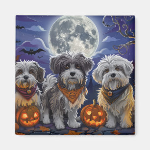 Aimant Halloween Havanais Éffrayant