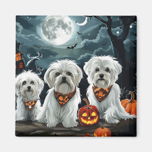 Aimant Halloween maltais Éffrayant
