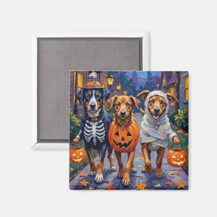 Aimant Halloween norvégienne à la traîne ou à la traite