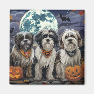 Aimant Halloween Tibétain Terrier Éffrayant