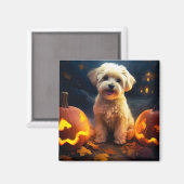 Aimant Halloween Yorkipoo Avec La Peur Citrouille (Recto/Verso)