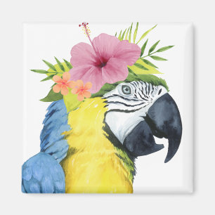 Aimant Halo tropical - Perroquet