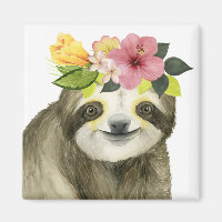 Halo tropical | Sweet Sloth