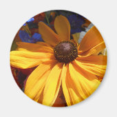 Aimant Halte (Devant)