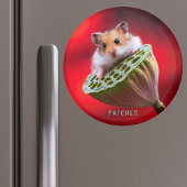 Aimant Hamster sur Lotus Pod