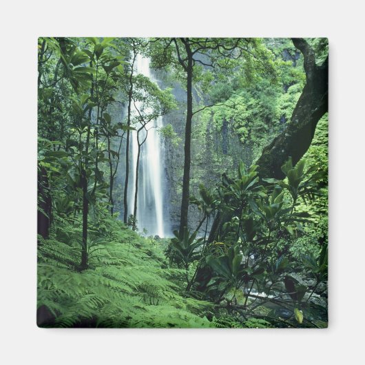 Aimant Hanakapiai Chutes le long de la côte Na Pali, Kaua (Devant)