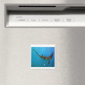 Aimant Hanauma Bay Hawaii Manta Ray (In Situ (Lave-vaisselle))