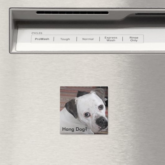 Aimant Hang Dog ? (In Situ (Lave-vaisselle))