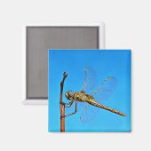 Aimant Hang On In There Artistic Dragonfly (Recto/Verso)