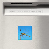 Aimant Hang On In There Artistic Dragonfly (In Situ (Lave-vaisselle))