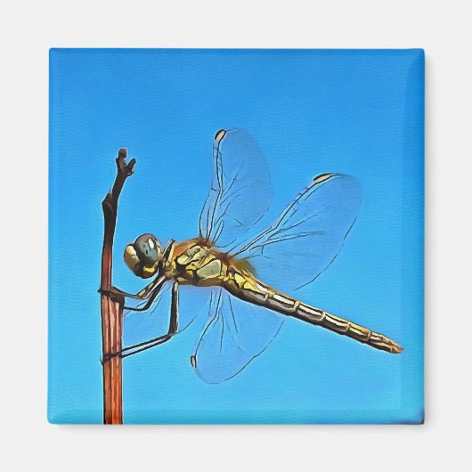 Aimant Hang On In There Artistic Dragonfly (Devant)