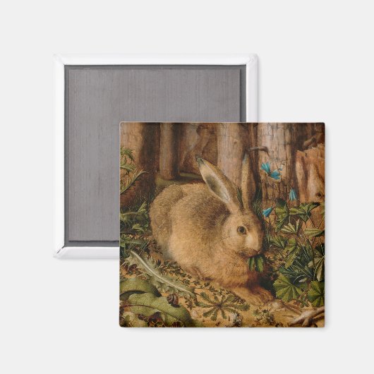Aimant Hans Hoffmann Un Lièvre Dans La Forêt (Recto/Verso)