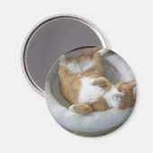 Aimant Happy Cat (Recto/Verso)