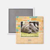 Aimant Happy cat, de happy (Recto/Verso)