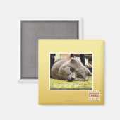 Aimant Happy cat, de happy (Recto/Verso)