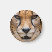 Aimant Happy Cheetah (Devant)