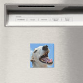 Aimant Happy Smiling Greyhound Face Closeup (In Situ (Lave-vaisselle))