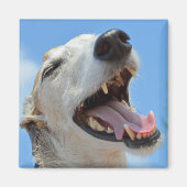 Aimant Happy Smiling Greyhound Face Closeup (Devant)