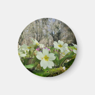 Aimant Harbinger du printemps