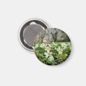 Aimant Harbinger du printemps (Recto/Verso)