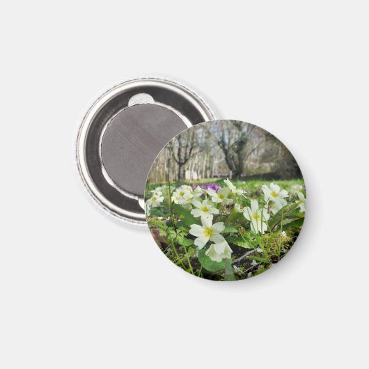 Aimant Harbinger du printemps (Recto/Verso)