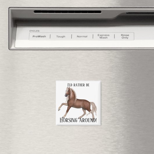 Aimant Harcèlement autour (arrière - plan léger) (In Situ (Lave-vaisselle))