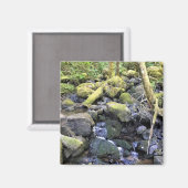 Aimant Hardy Creek, Oregon (Recto/Verso)